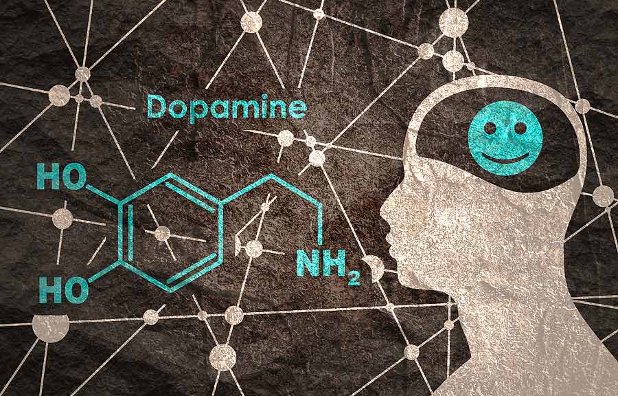 Hormon dopamin dopaminový detox