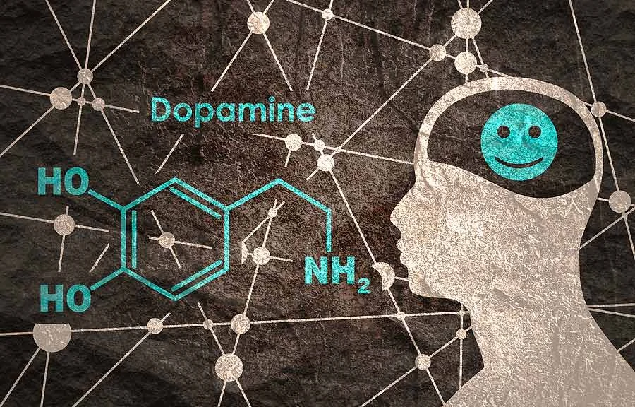 Hormon dopamin dopaminový detox