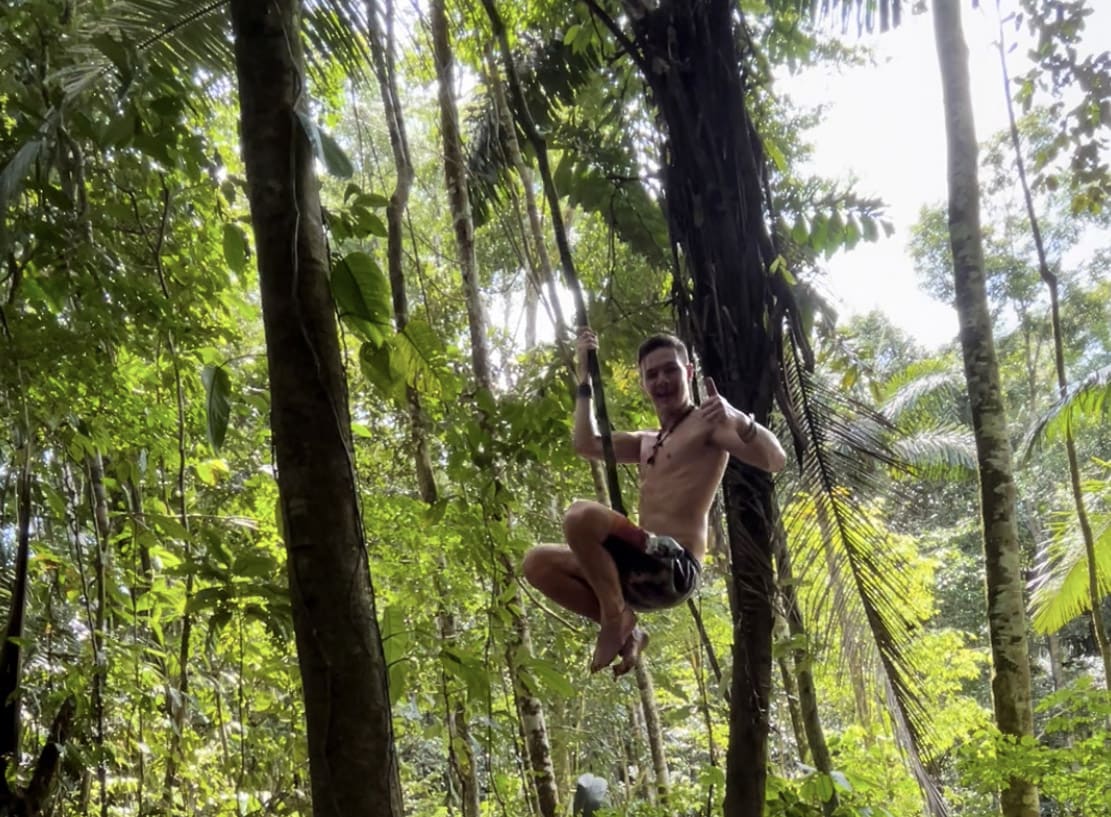 Kuba Pelikán lijána Amazonský prales