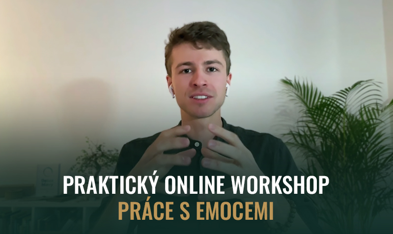 Workshop Jak na emoce a emoční vlny